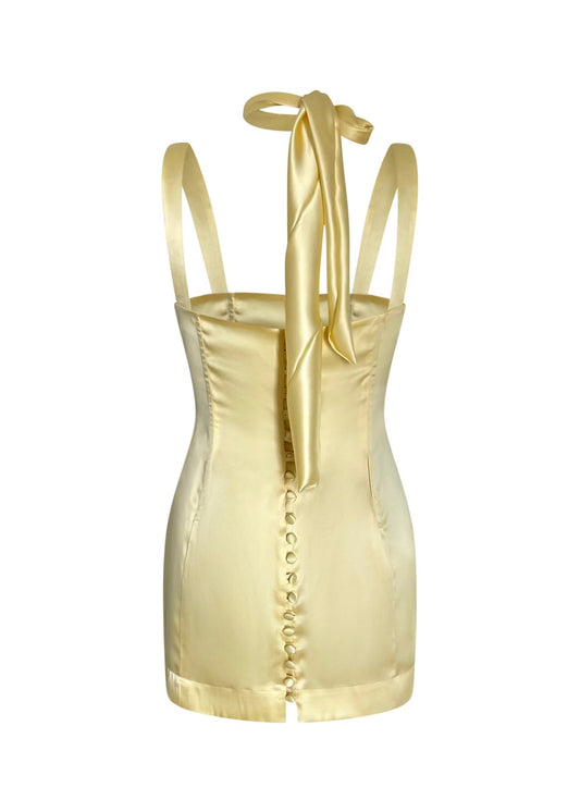 Aria Silk Corset Dress